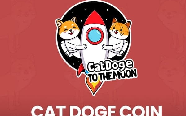 Cat Doge Coin (CATDOGE) nedir?