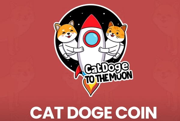 Şimdiden 500 kullanıcı sayısını geçen Cat Doge Coin (CATDOGE) nedir?