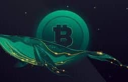 bitcoin-2021-yil-sonu-koinmedya-com