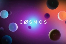 cosmos