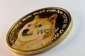 Dogecoin yatırımcılarından iyi haber! 28. sıradalar...