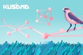 kusama fiyat tahmini