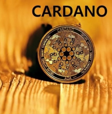 Dev balinaların yoğun bir şekilde satın aldığı iki kripto para!