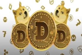 Dogecoin-will-Rise