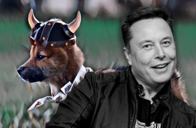 Elon Musk gene rahat durmadı!