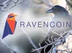 Raven-RVN-coin-koinmedya-com