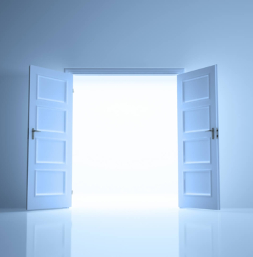 Shiba_USA_Koinmedya.com