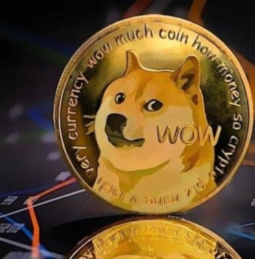 cardano-dogecoin-doge-acilimi-koinmedya-com