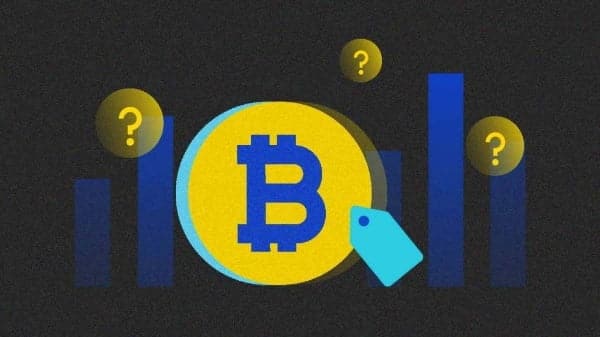 Bitcoin fiyatını ne belirler?