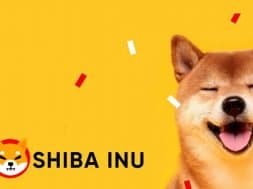 shiba-inu-shib-coin-ethereum-balinalari-koinmedya-com