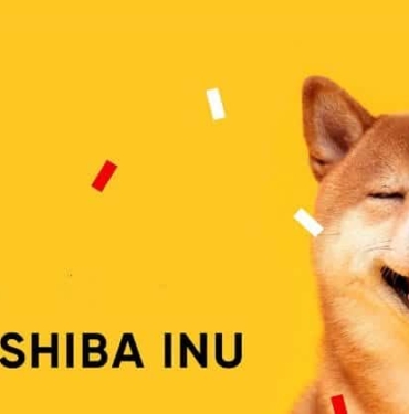 Shiba Inu