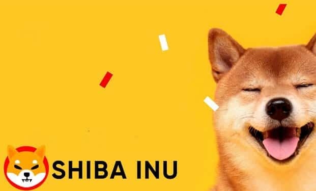 Shiba Inu