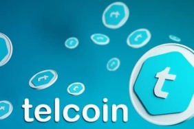 Telcoin ve TEL token nedir?