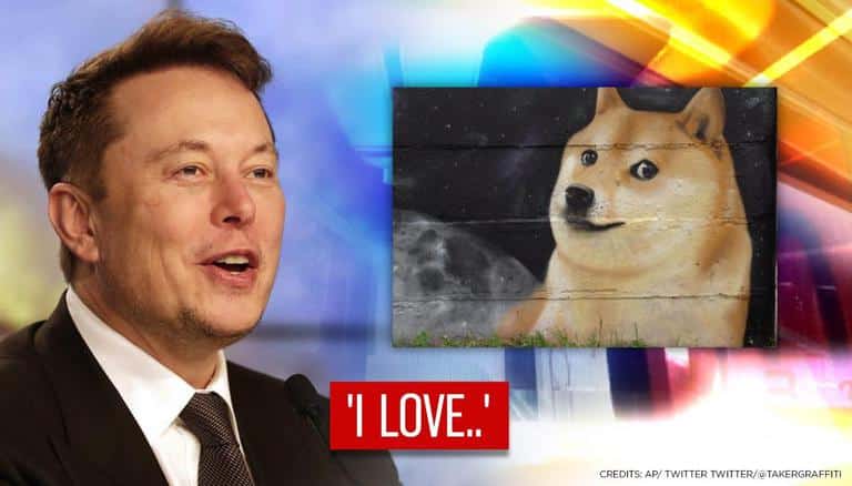 "Dogecoin rallisinin arkasında Elon Musk'tan daha fazlası var!"