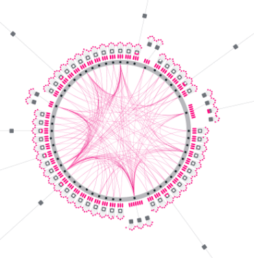 polkadot-coin-koinmedya-com