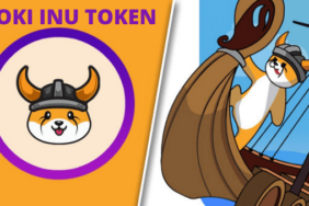 Memecoinlerde yükseliş! Shiba rakibi Floki pump yaptı!