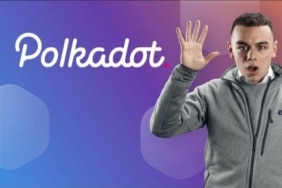 polkadot fiyat tahmini