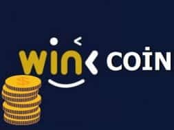 Wink-Coin
