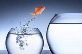 2018 ayı piyasasını bilen analistten korkutan yeni Bitcoin dip senaryosu!