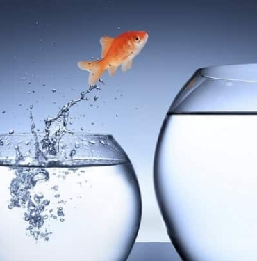 2018 ayı piyasasını bilen analistten korkutan yeni Bitcoin dip senaryosu!