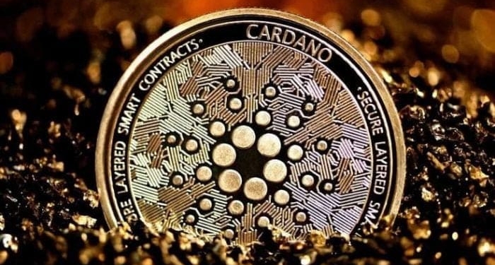 cardano