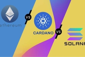 Ethereum, Cardano ve Solana karşılaştırması! Hangisi daha iyi?
