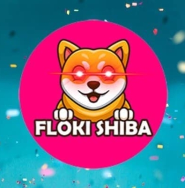 Floki yeni bir Shiba olur mu?