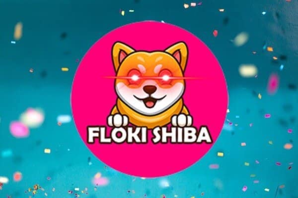 Floki yeni bir Shiba olur mu?