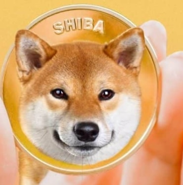 Dev kripto cüzdanlarından Shiba Inu Shibarium projesine önemli destek!