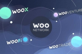 woo_network_share2-min