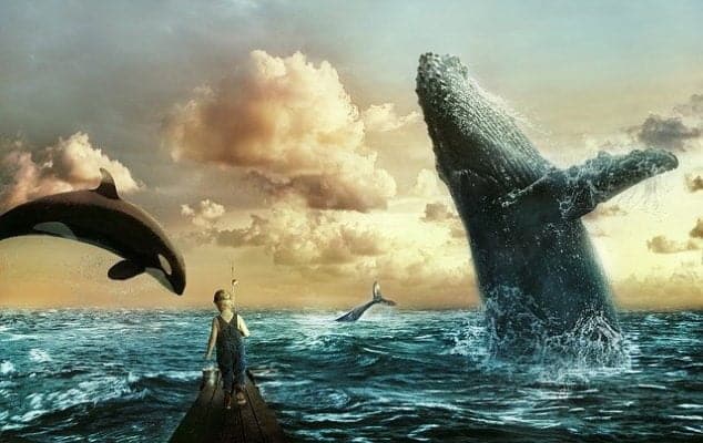 Ethereum balinalarından müthiş akümülasyon! Sadece bir günde…