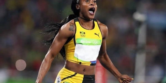 Analist Willy Woo: “Bitcoin önümüzdeki aylarda rekorlar kitabına girecek ralli yapacak”