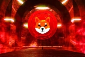 Robinhood borsasından Shiba yatırımcılarını coşturan müjdeli haber!