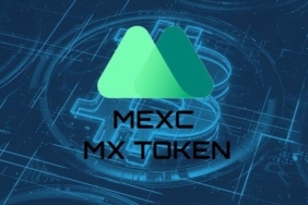 MX token