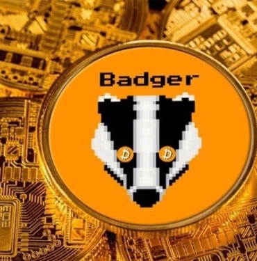 Badger DAO nedir ve geleceği nasıl? BADGER coin haber ve gelişmeleri