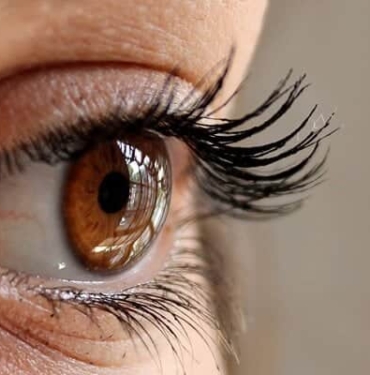 2022'de Solana - SOL token'ı ne bekliyor?