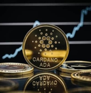 Cardano