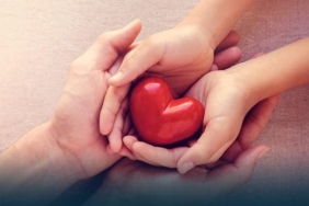 Fiyattaki çöküş Bitcoin’in “kalbini” nasıl etkiledi?