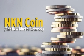 NKN nedir ve geleceği nasıl? Güncel NKN coin haber ve gelişmeleri