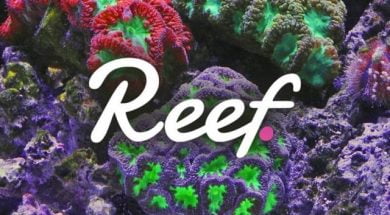 reef-coin-min