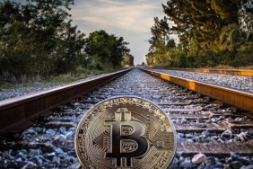 bitcoin-ayi-sezonu-koinmedya-com