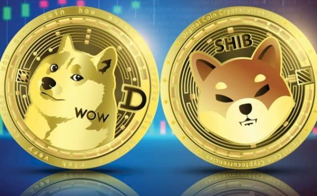 Dogecoin ve Shiba Inu: Birinin yatırımcısı kazandı, diğerininki zararda