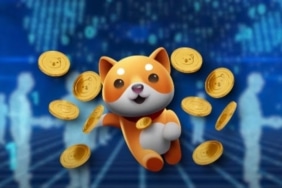 Baby Doge'u uçurabilecek yeni ortaklık