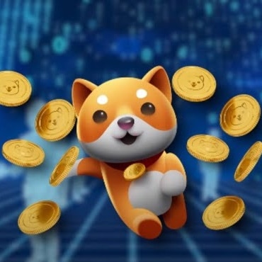 Baby Doge'u uçurabilecek yeni ortaklık