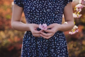 Bitcoin'deki bahar havasının nedenleri!