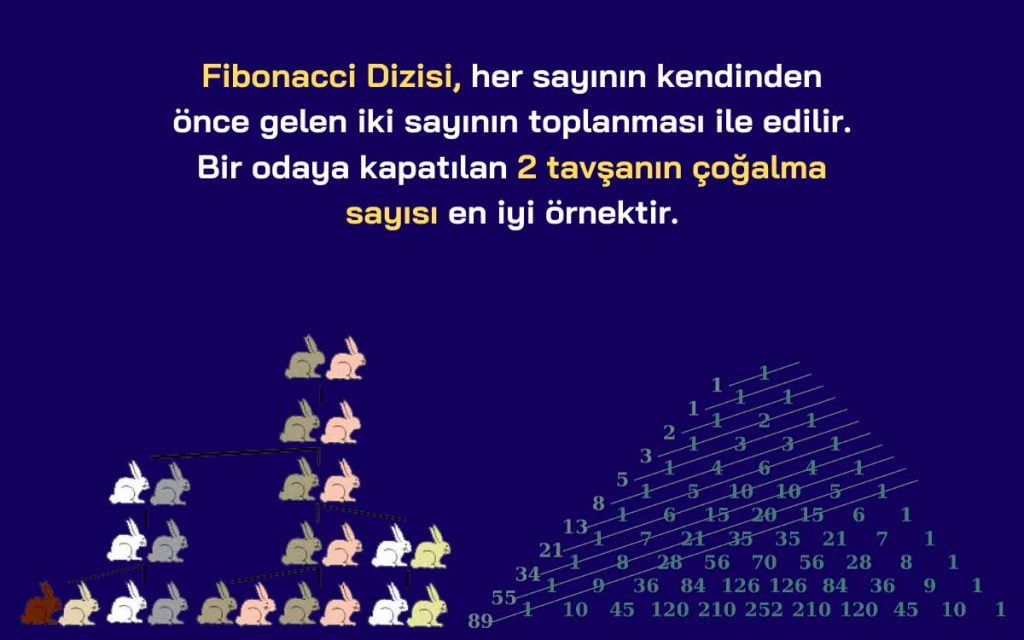 Teknik analizin dili: Fibonacci Dizisi veya Fibo Dizini nedir?