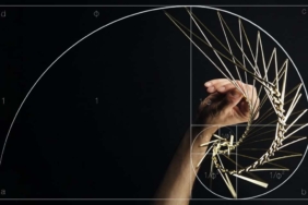 Teknik analizin dili: Fibonacci Dizisi veya Fibo Dizini nedir?