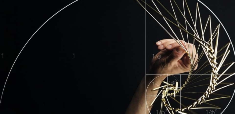 Teknik analizin dili: Fibonacci Dizisi veya Fibo Dizini nedir?