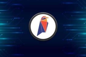 Ravencoin RVN yorum: Ravencoin nedir? Fiyatı, geleceği ve grafiği