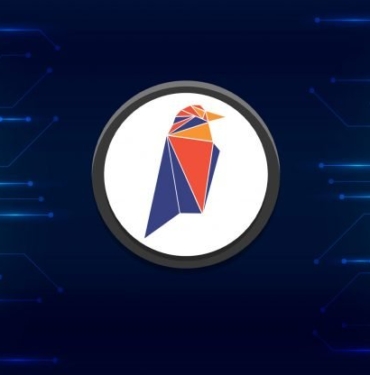 Ravencoin RVN yorum: Ravencoin nedir? Fiyatı, geleceği ve grafiği